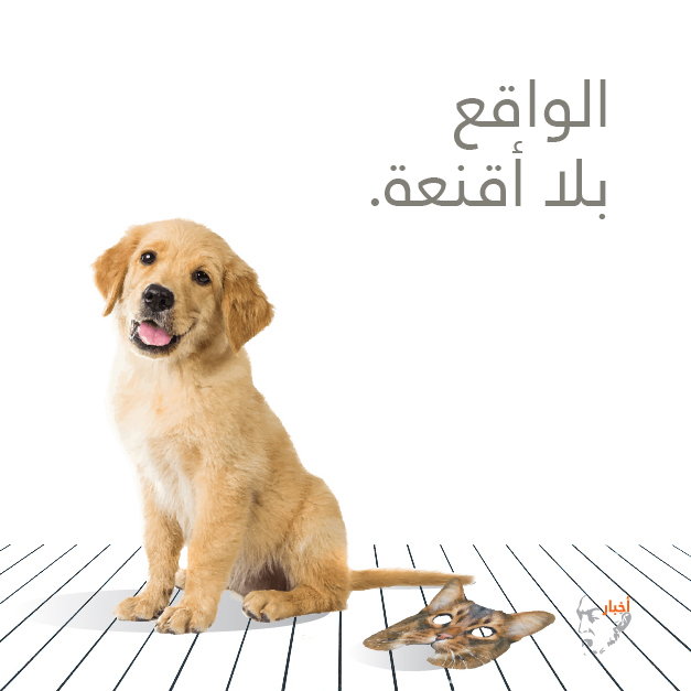 Almeta — brand and marketing 08